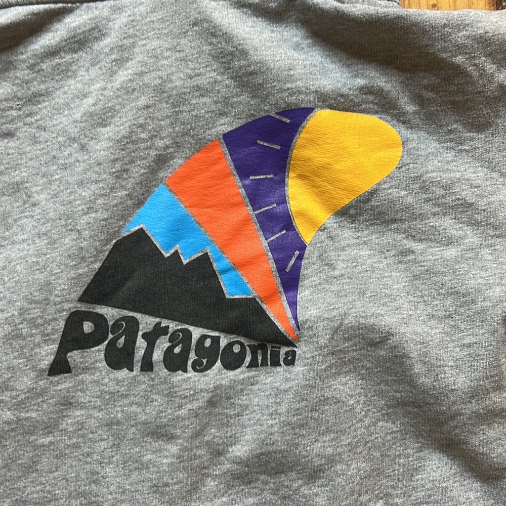 Patagonia hoodie sweatshirt-grey-large